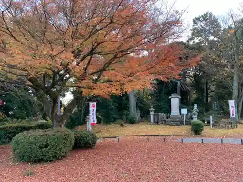 足羽神社の景色