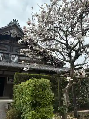 龍潭寺(静岡県)