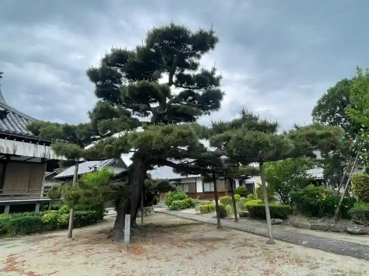 西蓮寺の{uncategorized: "未分類", other: "その他", undefined: "問題あり", building: "その他建物", grave: "お墓", sacred_gate: "鳥居", guardian: "狛犬", statue: "像", buddha: "仏像", history: "歴史", nature: "自然", garden: "庭園", animal: "動物", pagoda: "塔", temizu: "手水舎", mountain_gate: "山門・神門", sanctuary: "本殿・本堂", subordinate: "末社・摂社", art: "芸術", scenery: "景色", jizo: "地蔵", ema: "絵馬", goshuin: "御朱印", omikuji: "おみくじ", items: "授与品その他", amulet: "お守り", goshuincho: "御朱印帳", eats: "食事", festival: "お祭り", votive_dance: "神楽", shichigosan: "七五三参", wedding: "結婚式", experience: "体験その他", initially: "初詣", around: "周辺", anti_infection: "感染症対策"}