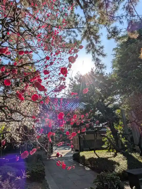 玄国寺(東京都)
