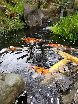 東光寺(東京都)