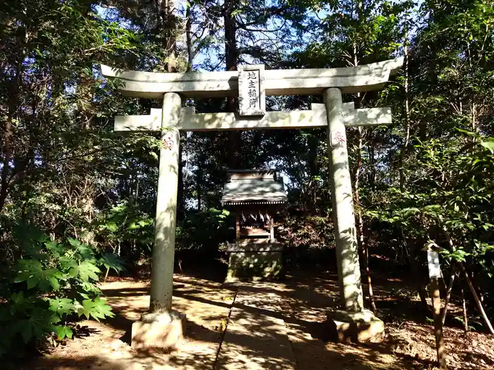 神崎神社(千葉県)