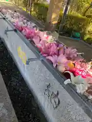 加藤神社の手水