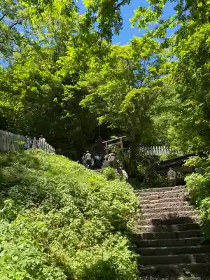 戸隠神社九頭龍社の{uncategorized: "未分類", other: "その他", undefined: "問題あり", building: "その他建物", grave: "お墓", sacred_gate: "鳥居", guardian: "狛犬", statue: "像", buddha: "仏像", history: "歴史", nature: "自然", garden: "庭園", animal: "動物", pagoda: "塔", temizu: "手水舎", mountain_gate: "山門・神門", sanctuary: "本殿・本堂", subordinate: "末社・摂社", art: "芸術", scenery: "景色", jizo: "地蔵", ema: "絵馬", goshuin: "御朱印", omikuji: "おみくじ", items: "授与品その他", amulet: "お守り", goshuincho: "御朱印帳", eats: "食事", festival: "お祭り", votive_dance: "神楽", shichigosan: "七五三参", wedding: "結婚式", experience: "体験その他", initially: "初詣", around: "周辺", anti_infection: "感染症対策"}