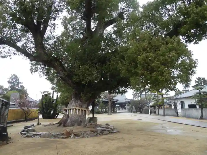 金倉寺(香川県)