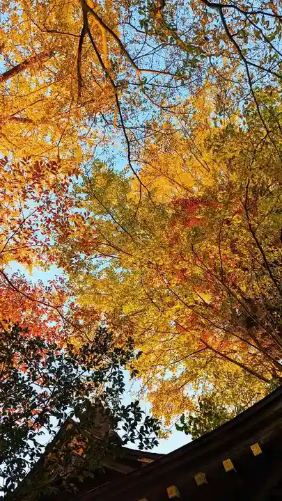 麻賀多神社の自然
