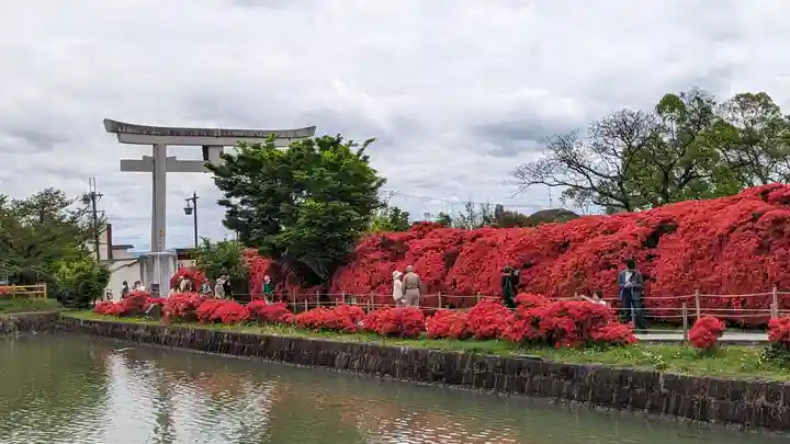 長岡天満宮(京都府)