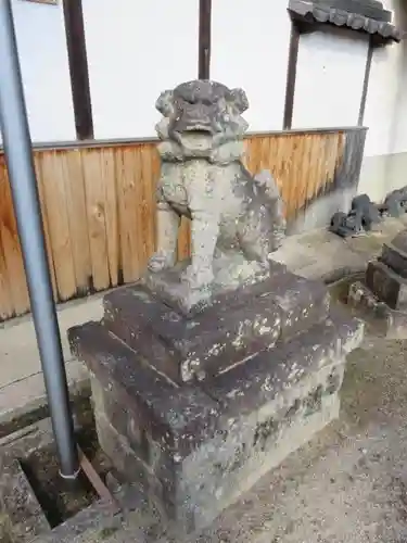 春日若宮神社の狛犬