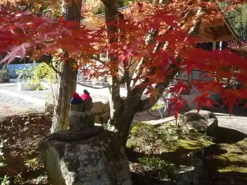 延寿禅寺の自然