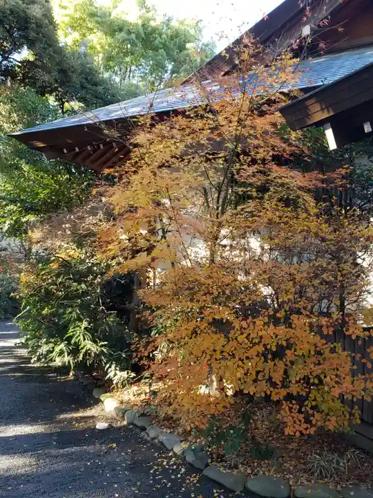 阿佐ヶ谷神明宮の自然
