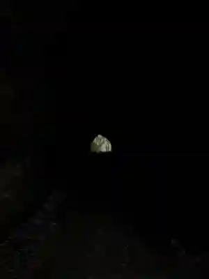 熊野神社の周辺