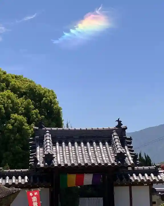 真言宗 善通寺派 薬王寺(香川県)