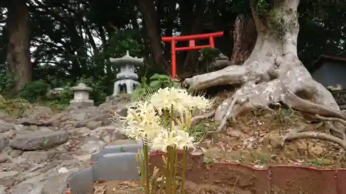 熊野神社（稲取）の自然