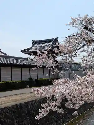 本願寺山科別院(京都府)