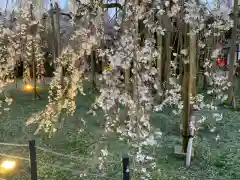 足羽神社の自然