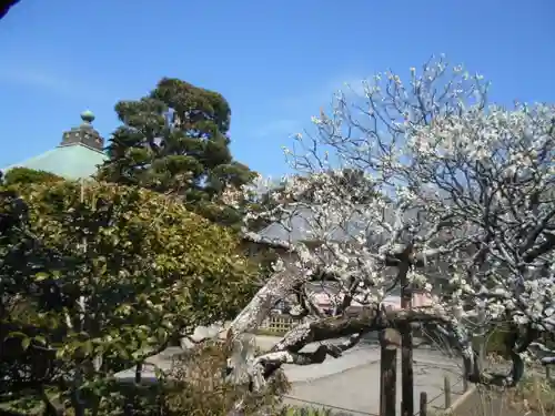 極楽寺（霊鷲山感應院極楽律寺）の庭園