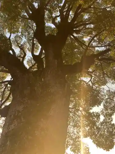 西大寺(岡山県)