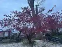 三会温泉神社(長崎県)