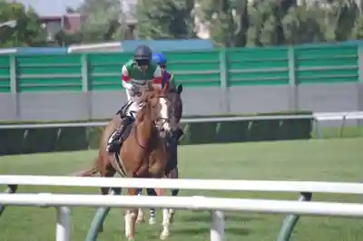 札幌競馬場馬頭観音(北海道)