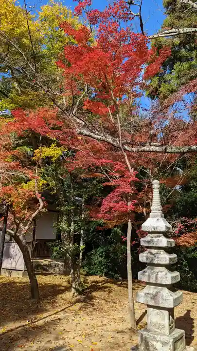 光明寺(粟生光明寺)(京都府)
