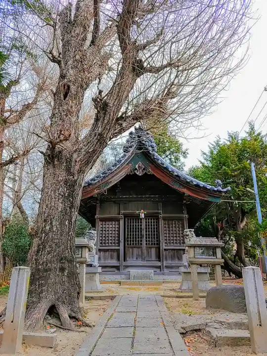津島社の本殿・本堂