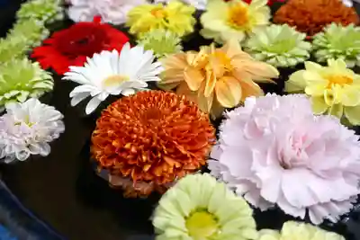 成田山大照寺(北海道)