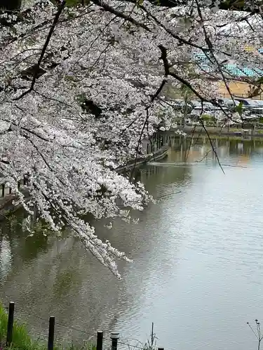 武蔵一宮氷川神社(埼玉県)