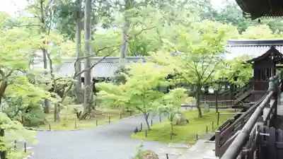 真正極楽寺(真如堂)(京都府)