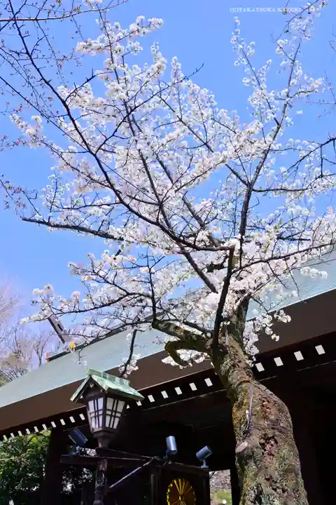 靖國神社(東京都)