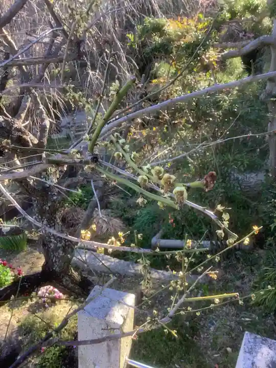 洞雲院(愛知県)