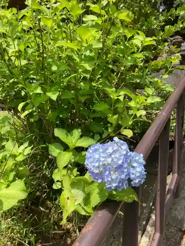 大船熊野神社(神奈川県)