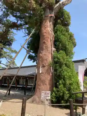 吉備津彦神社(岡山県)