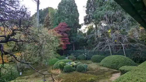 雲龍院の庭園