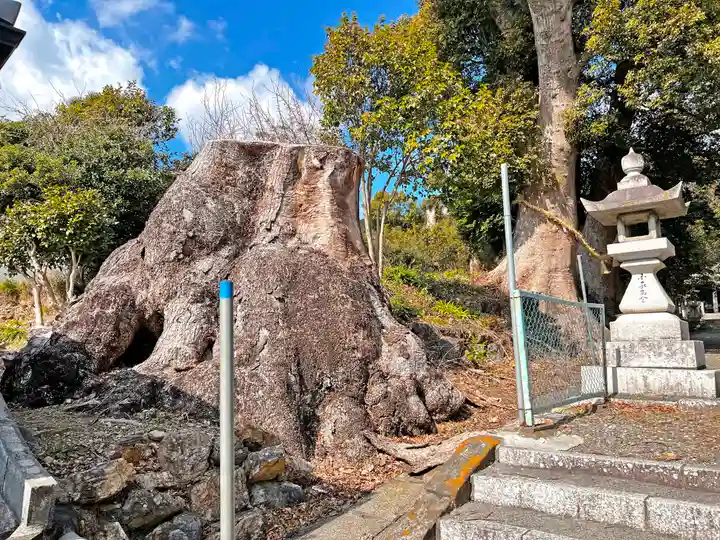 細江神社の自然