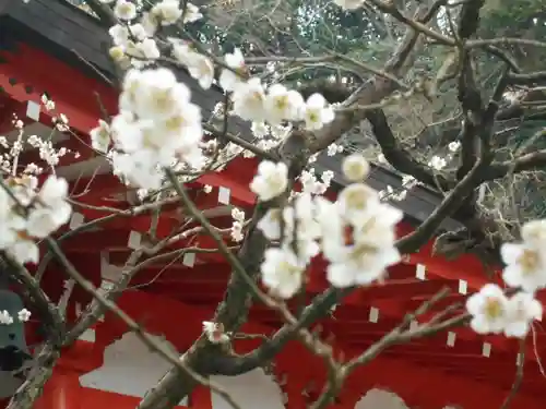荏柄天神社の自然