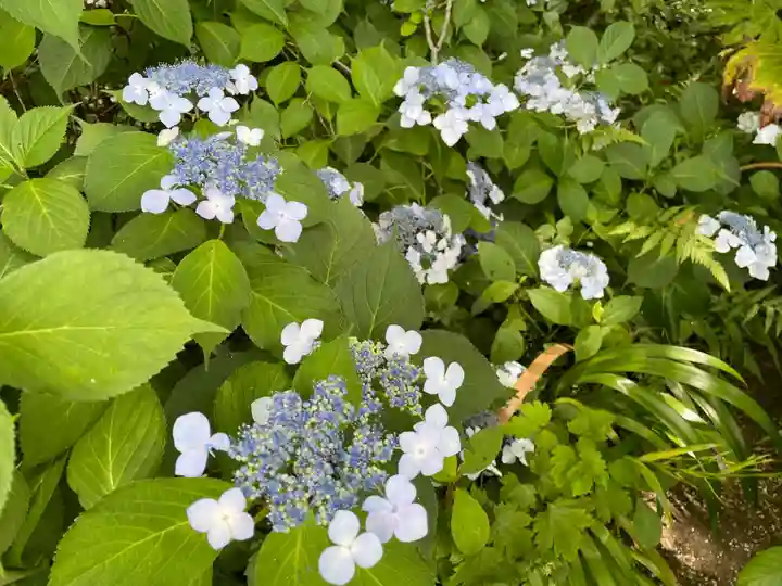 詩仙堂(丈山寺)(京都府)