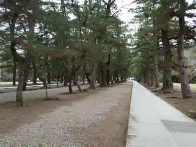 出雲大社(島根県)