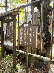 柳津虚空蔵尊 寳性院(宮城県)