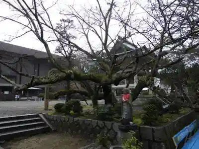 香園寺(愛媛県)