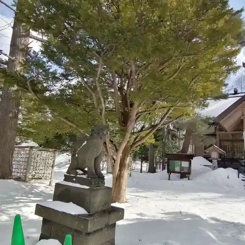 大谷地神社の狛犬