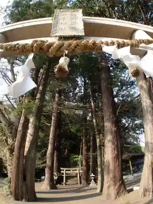 島大国魂御子神社の自然