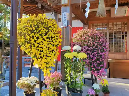 淡河八幡神社の自然
