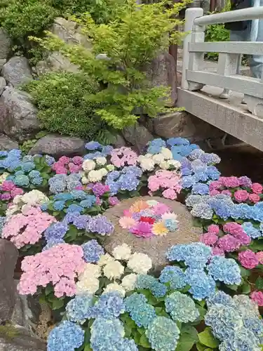 岡寺（龍蓋寺）(奈良県)