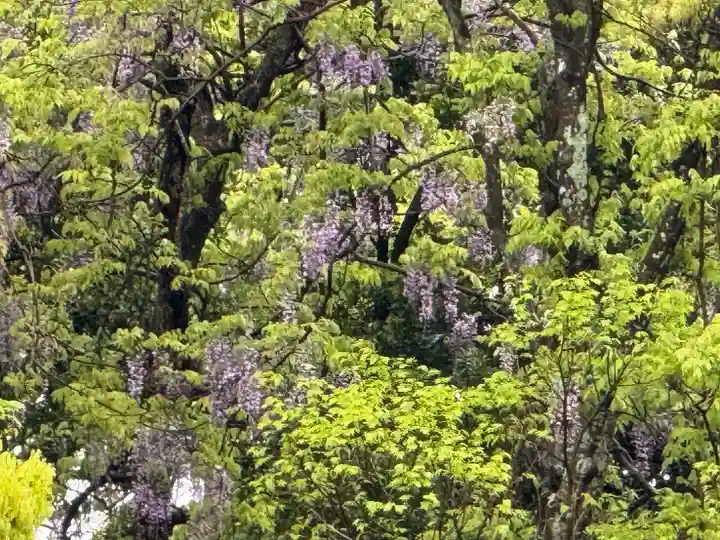 伊勢の国 四天王寺(三重県)