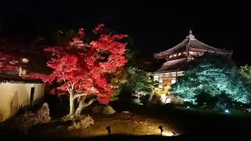 鹿王院のその他建物