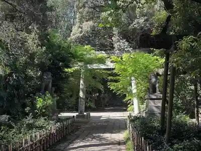 赤坂氷川神社(東京都)