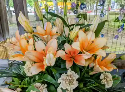 彌彦神社　(伊夜日子神社)の手水舎