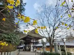 沙沙貴神社(滋賀県)(2026年01月08日(木) 14時32分23秒投稿)