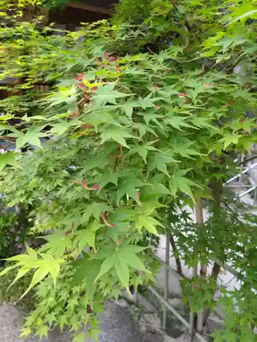 志賀海神社(福岡県)