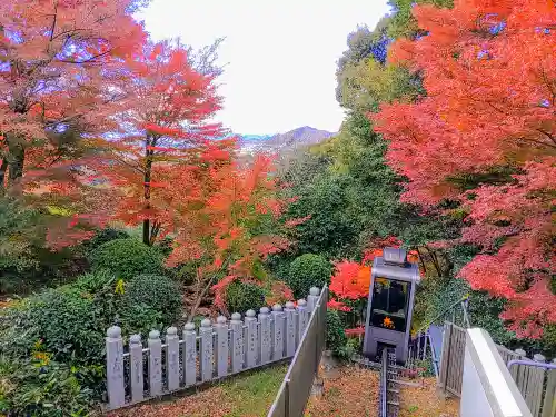 犬山寂光院の景色